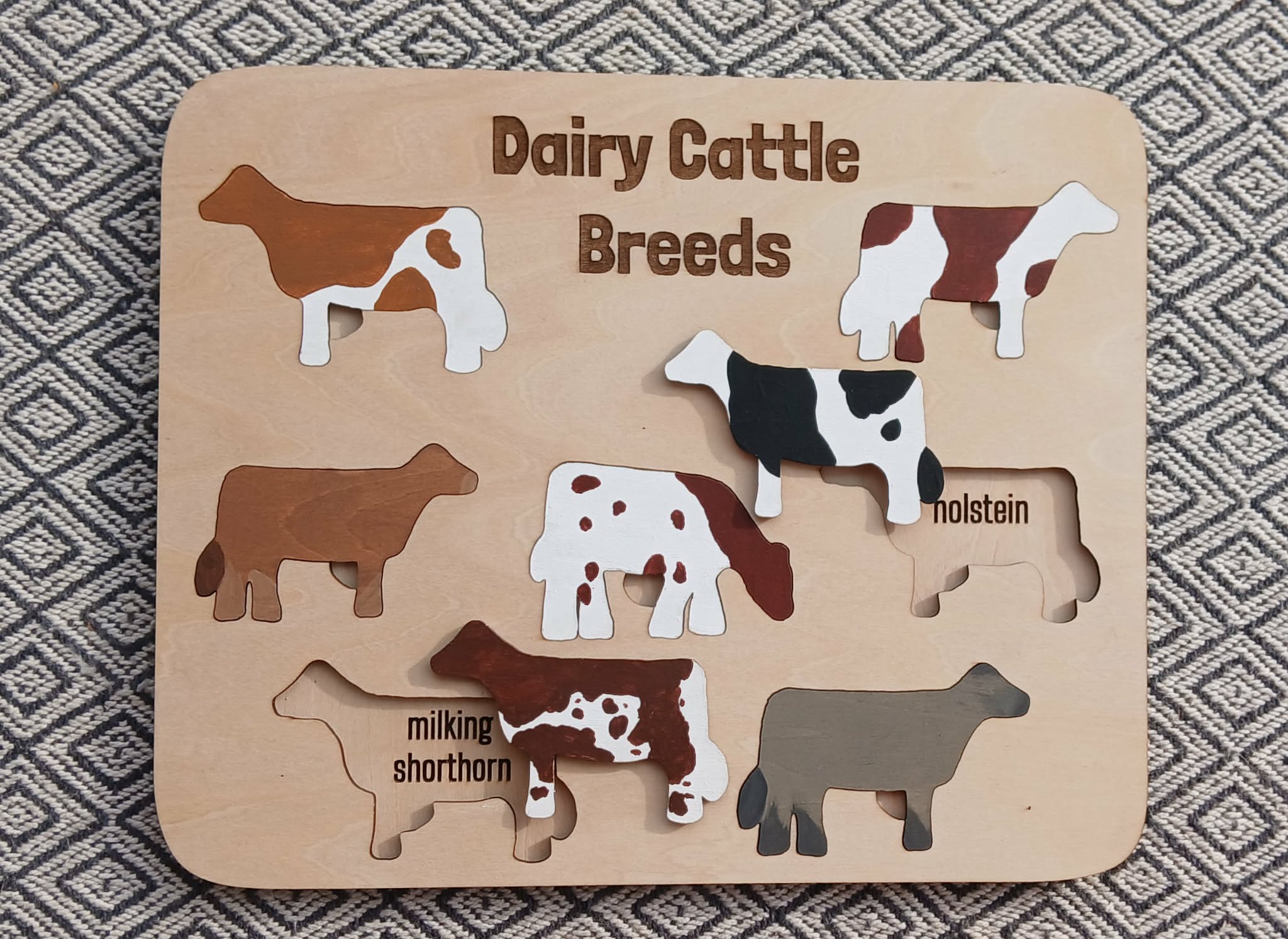 Dairy Cattle Breed Wooden Puzzle